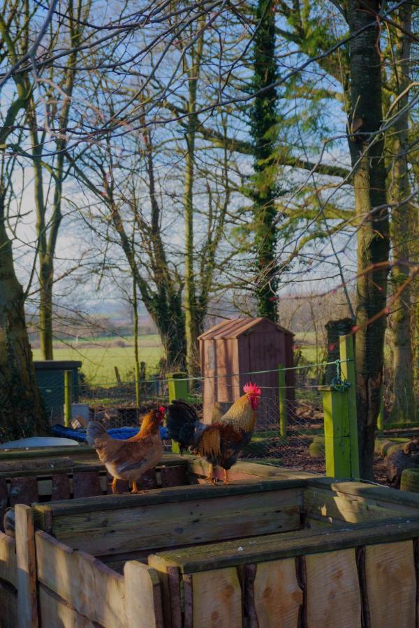 Villa Meadow Barn Hereford Esterno foto